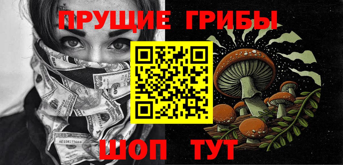 Псилоцибиновые грибы Psilocybine cubensis  где продают   Сатка  Галлюциногенные грибы GOLDEN TEACHER  Вход с VPN 